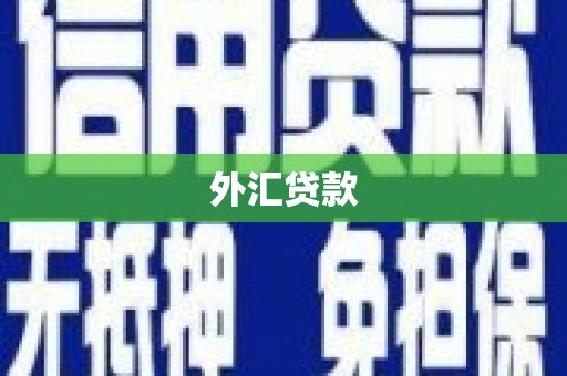 信阳外汇贷款