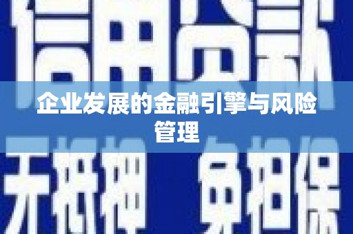 信阳企业发展的金融引擎与风险管理