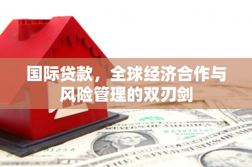 信阳国际贷款，全球经济合作与风险管理的双刃剑