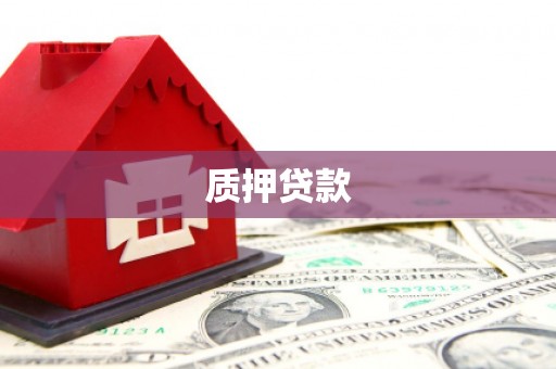 信阳质押贷款