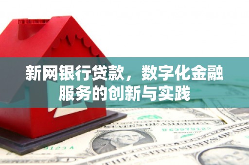 信阳新网银行贷款，数字化金融服务的创新与实践