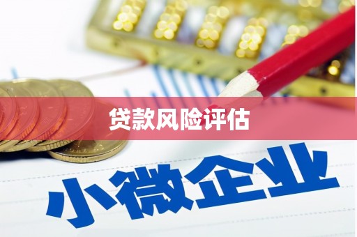 信阳贷款风险评估