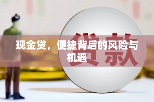 信阳现金贷，便捷背后的风险与机遇