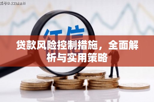 信阳贷款风险控制措施，全面解析与实用策略