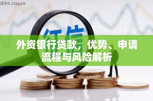 信阳外资银行贷款，优势、申请流程与风险解析