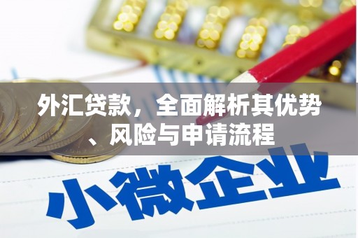 信阳外汇贷款，全面解析其优势、风险与申请流程