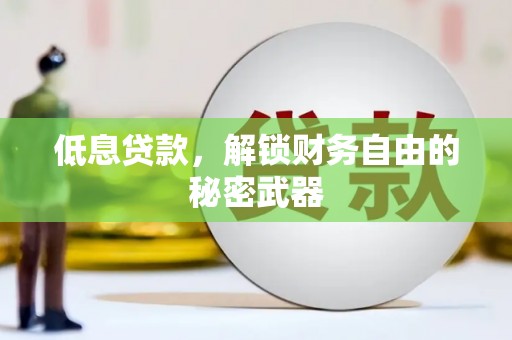 信阳低息贷款，解锁财务自由的秘密武器