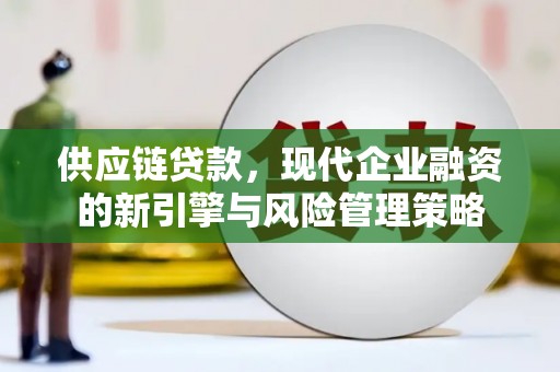 信阳供应链贷款，现代企业融资的新引擎与风险管理策略