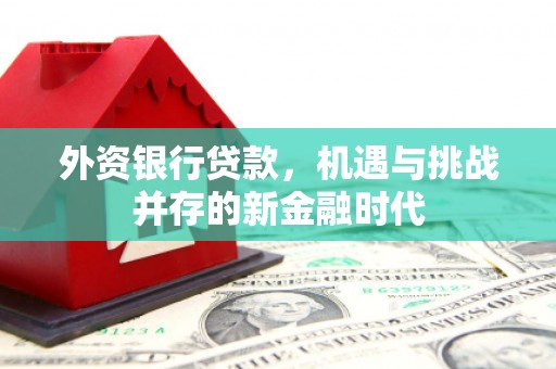信阳外资银行贷款，机遇与挑战并存的新金融时代