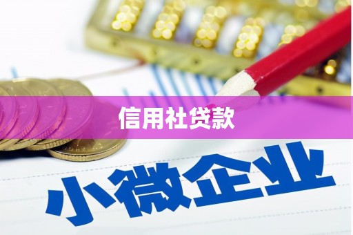 信阳信用社贷款