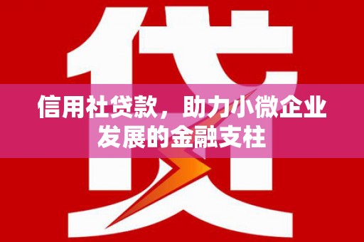 信阳信用社贷款，助力小微企业发展的金融支柱