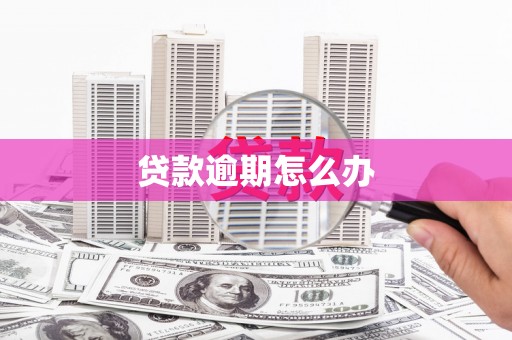 信阳贷款逾期怎么办