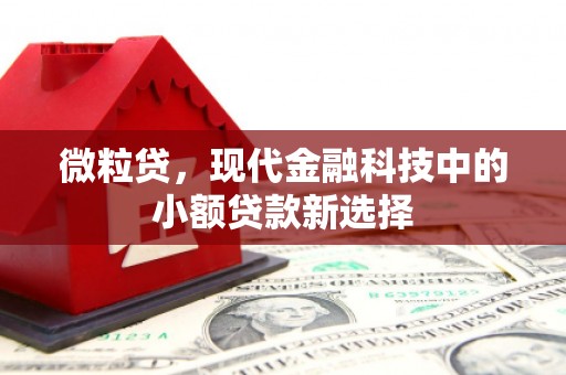 信阳微粒贷，现代金融科技中的小额贷款新选择