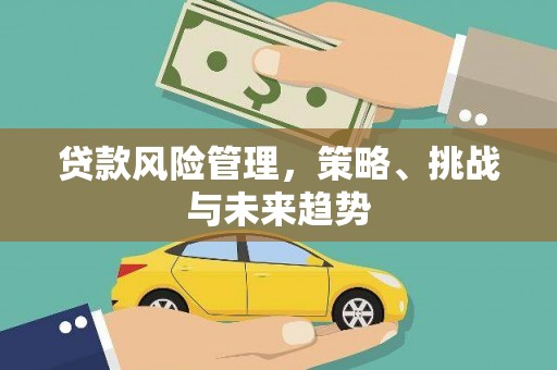 信阳贷款风险管理，策略、挑战与未来趋势