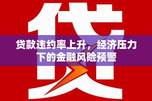 信阳贷款违约率上升，经济压力下的金融风险预警