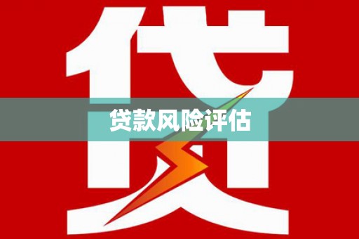 信阳贷款风险评估