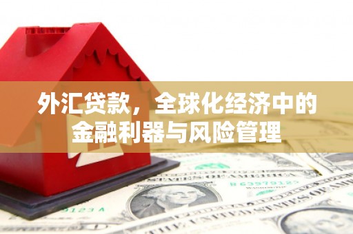 信阳外汇贷款，全球化经济中的金融利器与风险管理