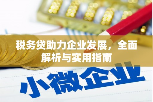 信阳税务贷助力企业发展，全面解析与实用指南