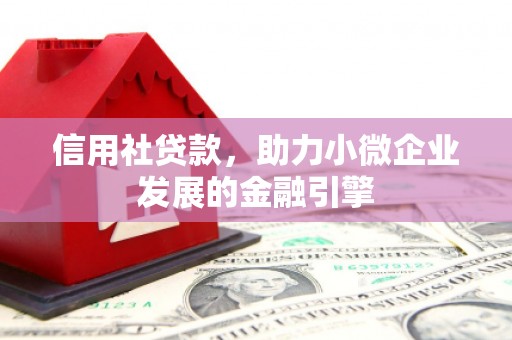 信阳信用社贷款，助力小微企业发展的金融引擎