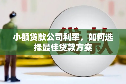 信阳小额贷款公司利率，如何选择最佳贷款方案