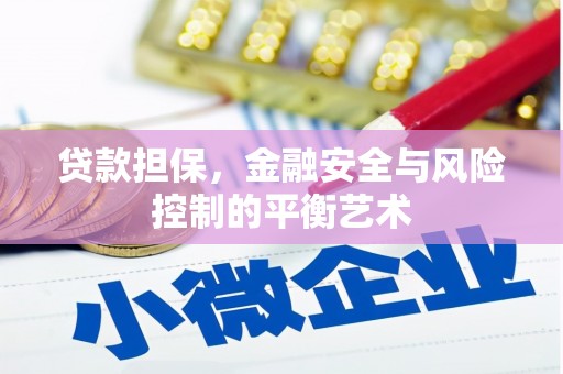 信阳贷款担保，金融安全与风险控制的平衡艺术