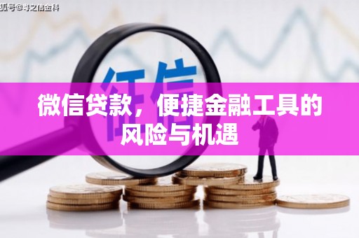 信阳微信贷款，便捷金融工具的风险与机遇