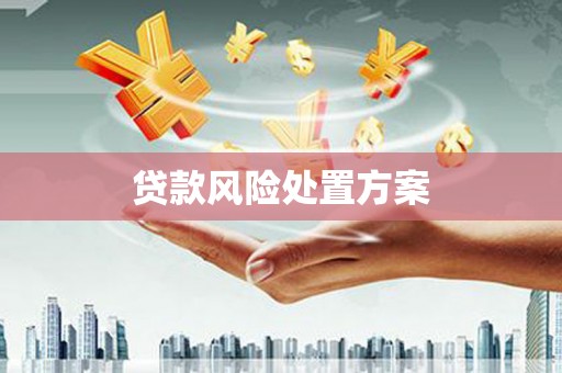 信阳贷款风险处置方案
