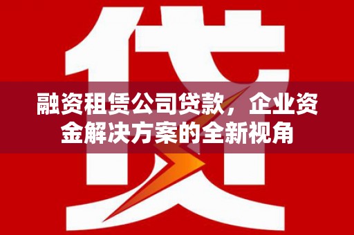 信阳融资租赁公司贷款，企业资金解决方案的全新视角