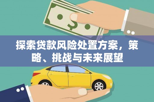 信阳探索贷款风险处置方案，策略、挑战与未来展望