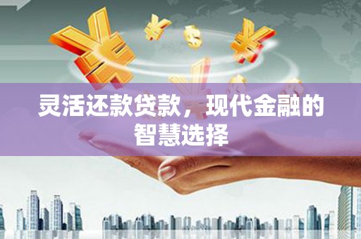 信阳灵活还款贷款，现代金融的智慧选择
