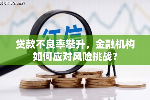 信阳贷款不良率攀升，金融机构如何应对风险挑战？