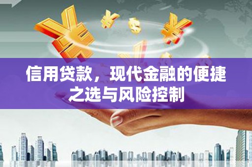 信阳信用贷款，现代金融的便捷之选与风险控制