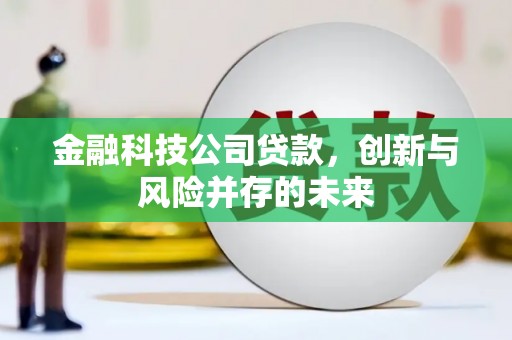 信阳金融科技公司贷款，创新与风险并存的未来