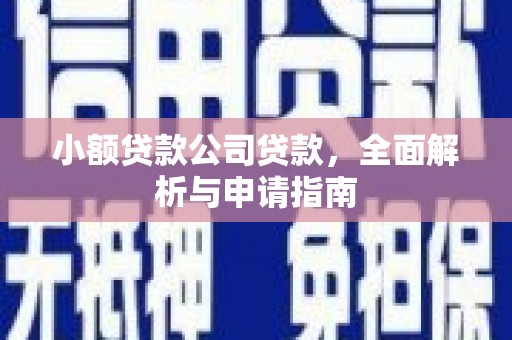 信阳小额贷款公司贷款，全面解析与申请指南