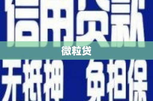 信阳微粒贷