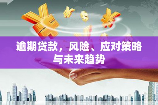 信阳逾期贷款，风险、应对策略与未来趋势