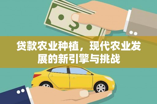 信阳贷款农业种植，现代农业发展的新引擎与挑战