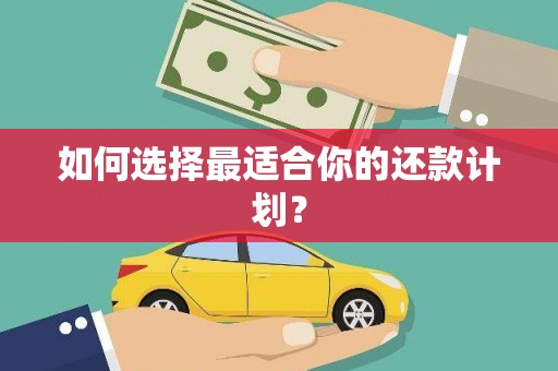 信阳如何选择最适合你的还款计划？