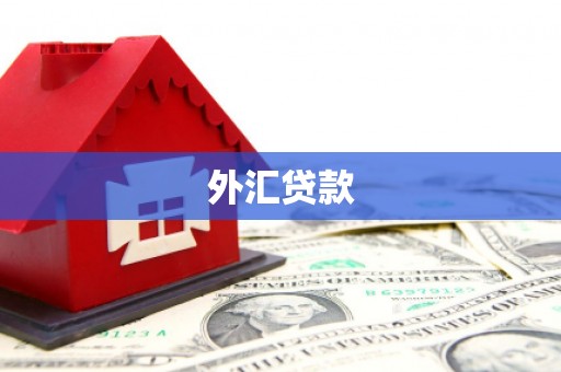 信阳外汇贷款