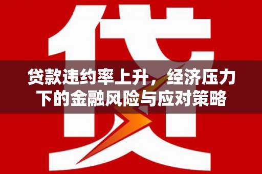 信阳贷款违约率上升，经济压力下的金融风险与应对策略