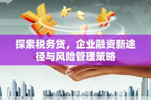 信阳探索税务贷，企业融资新途径与风险管理策略