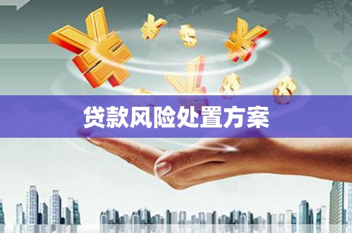 信阳贷款风险处置方案