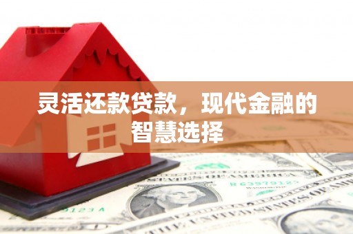 信阳灵活还款贷款，现代金融的智慧选择