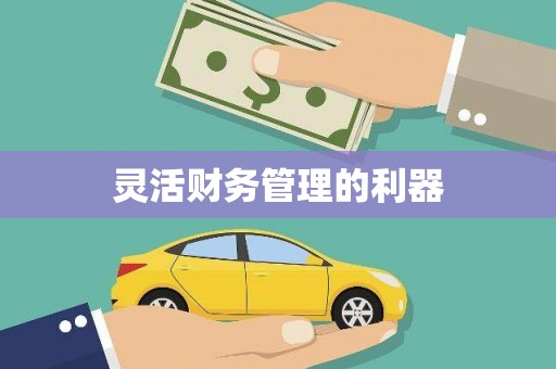 信阳灵活财务管理的利器