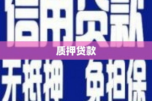 信阳质押贷款