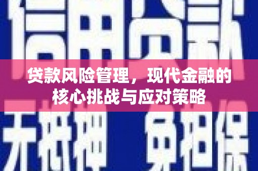 信阳贷款风险管理，现代金融的核心挑战与应对策略