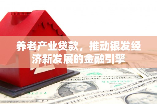 信阳养老产业贷款，推动银发经济新发展的金融引擎