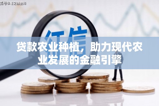 信阳贷款农业种植，助力现代农业发展的金融引擎