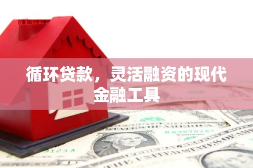 信阳循环贷款，灵活融资的现代金融工具