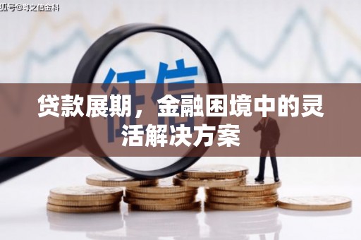 信阳贷款展期，金融困境中的灵活解决方案